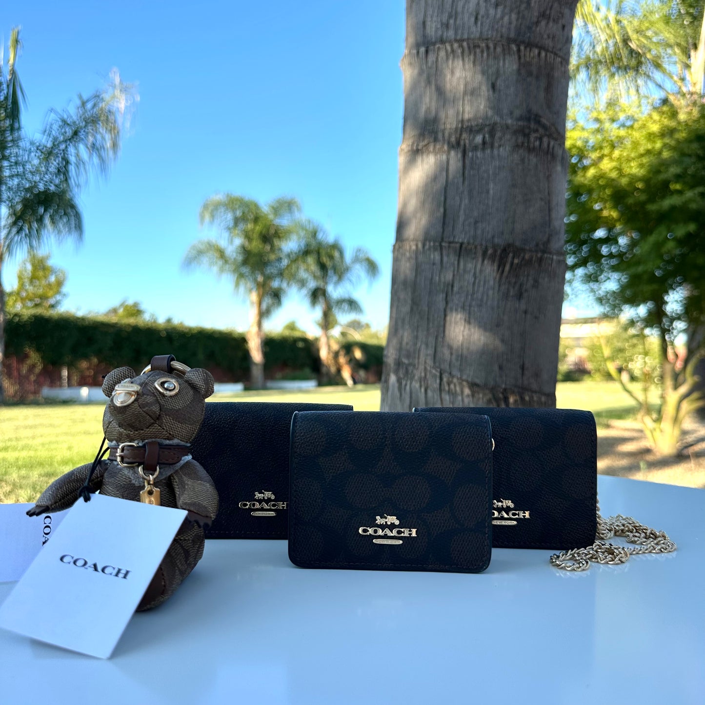 Mini Wallet Monograma