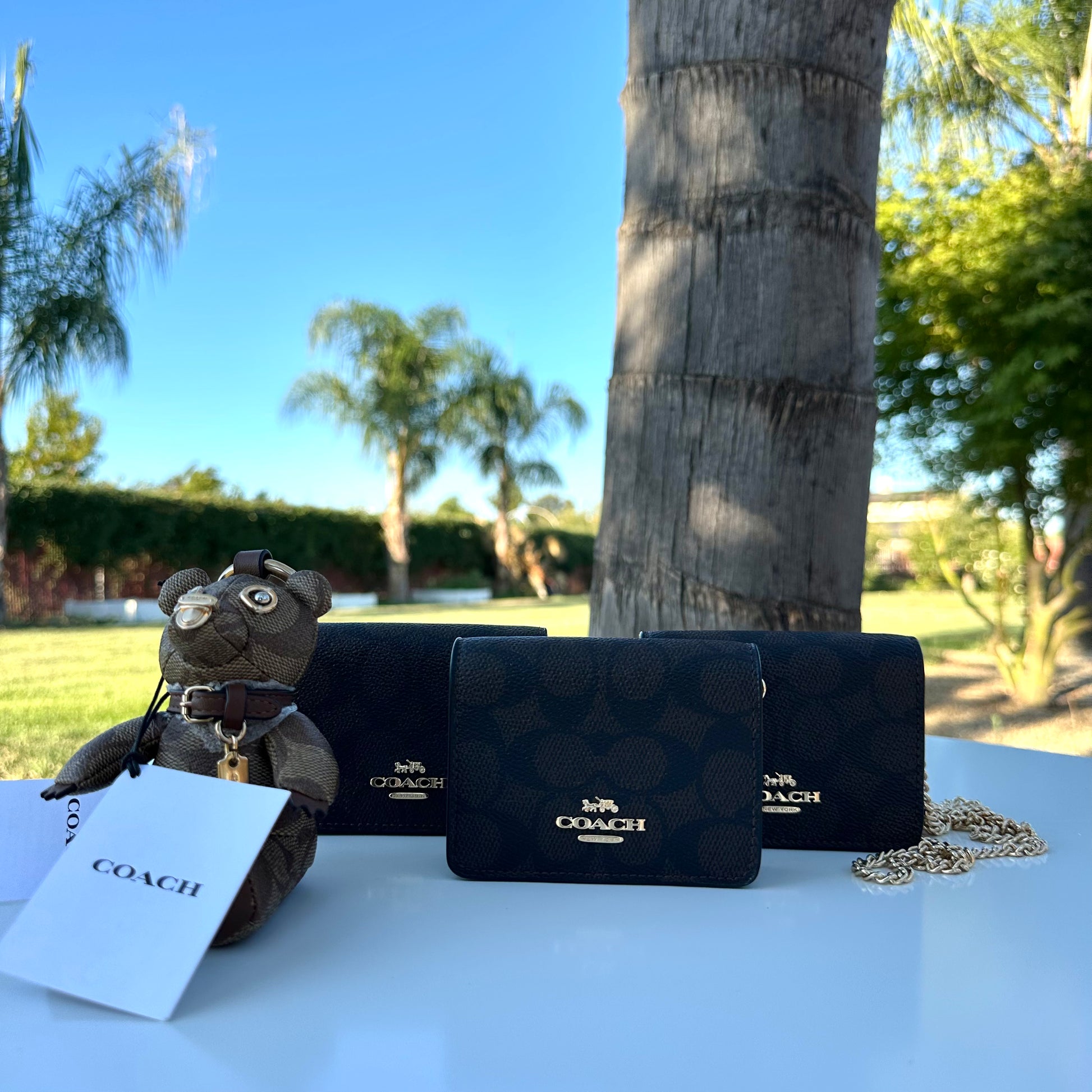 Mini Wallet Monograma